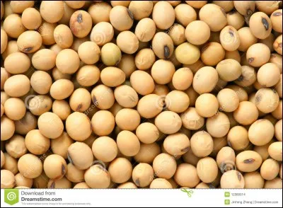 Dans le Nutella, y a-t-il du soja ?