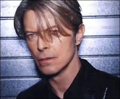 Quel chanteur avait pour surnom "Ziggi Stardust" ?