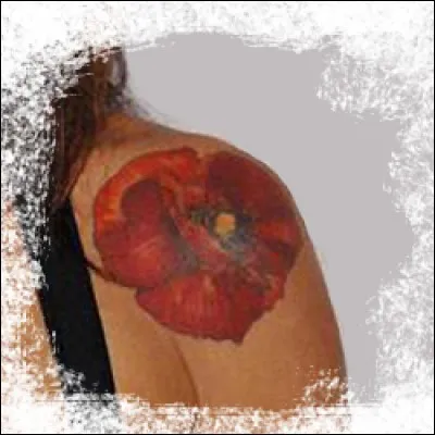 Trouvez le nom de la chanteuse par la photo !