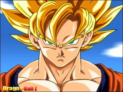 Quel âge a Songoku ? (Dragon Ball)
