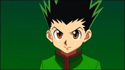 Quel âge a Gon ? (Hunter x Hunter)