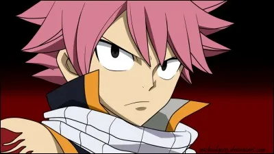 Quel âge a Natsu ? (Fairy Tail)
