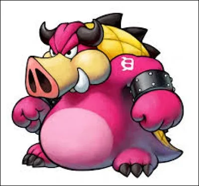 Combien de boss Bowser affronte-t-il ?