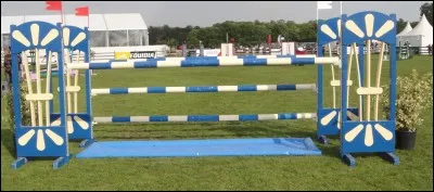 À quoi servent les drapeaux ?