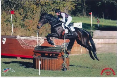 Comment s'appelle cette discipline ?