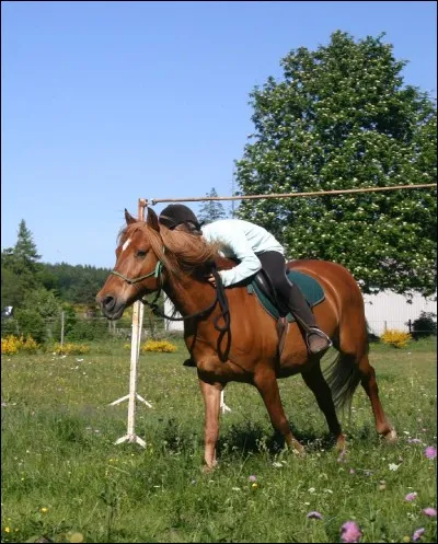 Comment s'appelle cette discipline ?