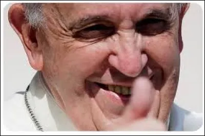 Les catholiques intégriste n'aiment pas qu'ont fassent des chatouilles sur leur pape.