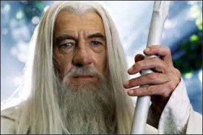Dans "Le Seigneur des anneaux" , Gandalf n'indique pas clairement qu'il possède la toure de l'abîme et que cela conble sa vie.