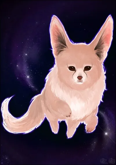 De nuit, en quoi évolue Evoli ?