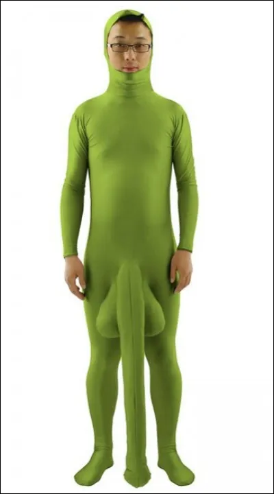 Très honnêtement, je ne sais pas en quoi est déguisé ce jeune homme et je ne veux pas le savoir. Ce qu'on peut dire toutefois est... ?