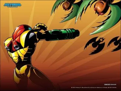 Quel est ce costume ?