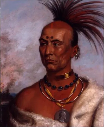 Chef amérindien de la tribu Sauk et Fox, "Faucon Noir" fut un allié des Britanniques durant la guerre de 1812 et rival du partisan des États-Unis, Keokuk.