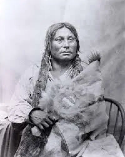 Chef de guerre amérindien Hunkpapa, un des sept clans de la nation sioux qui prit part à la bataille de Little Bighorn.