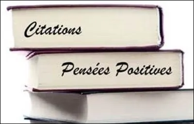 De qui est cette citation : "Dès que tu vois que tu sais faire une chose, attaque-toi à quelque chose que tu ne sais pas encore faire" ?