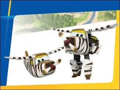 Quel avion à un camouflage zèbre ?