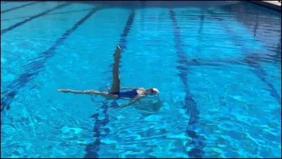 Quelle est cette figure ?