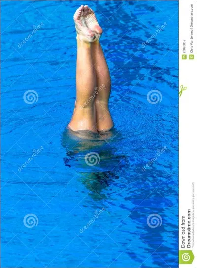 Quelle est cette figure ?