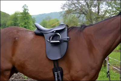 Lorsque tu montes à cheval, tes pieds sont...