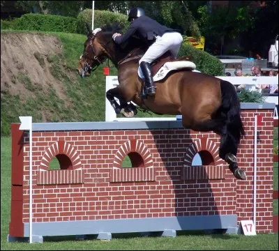 En regardant la photo, cet obstacle s'appelle...