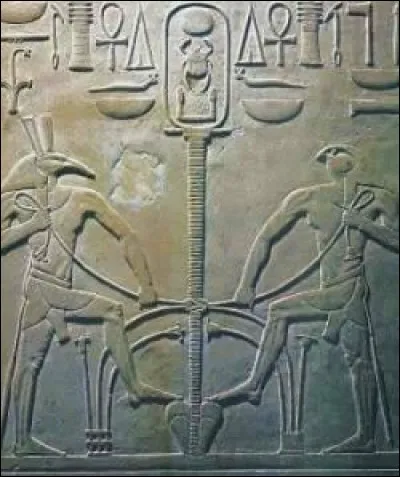 Symbole de l'unité de l'Egypte, il représente le papyrus (symbole de la Basse-Egypte) et le lotus (symbole de la Haute-Egypte) noués ensemble :