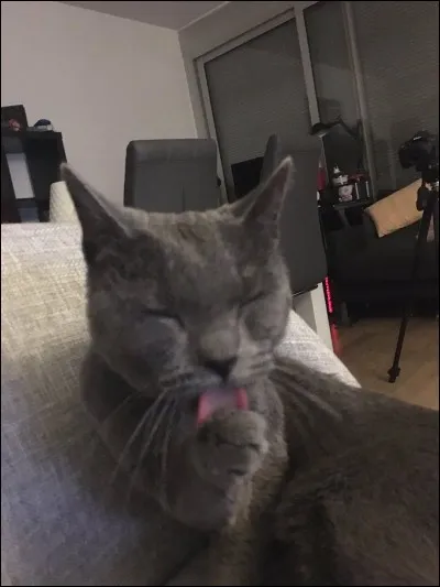 À qui Siphano n'est-il pas abonné ?