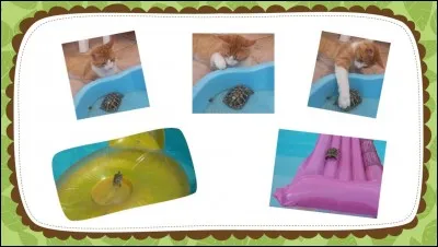 Eh ben ! ça y est... elle a réussi.
"Elle a touché le fond de la piscine
 Dans le petit pull marine
Tout déchiré au coude 
Qu'j'ai pas voulu recoudre 
Que tu m'avais donné
J'me sens tellement abandonnée". 
Qui chante cette chanson dont quelques paroles ont été changées ?