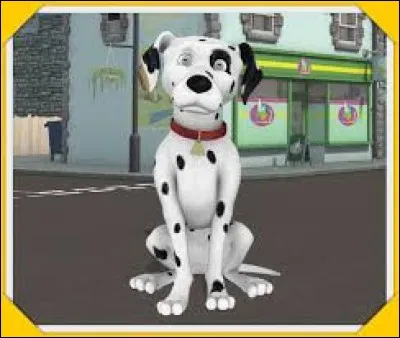 Comment s'appelle ce chien de secours ?