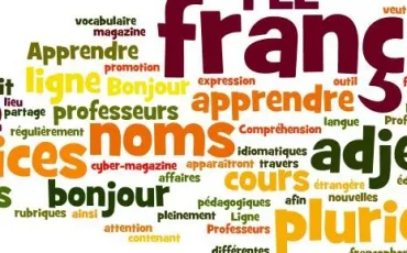 Quiz Grammaire