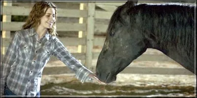 Ce film a pour titre le nom du mustang sauvage qu'une jeune fille de 16 ans trouve et apprivoise. Il s'agit de :