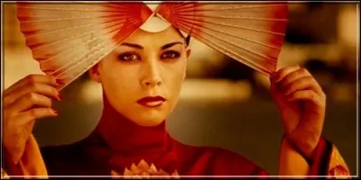 Pr&eacute;c&eacute;demment metteur en sc&egrave;ne du film &laquo;&nbsp;The Cell&nbsp;&raquo;, Tarsem Singh a ensuite r&eacute;alis&eacute; un film visuellement tr&egrave;s beau, aux d&eacute;cors et aux costumes majestueux. Il s'agit de :