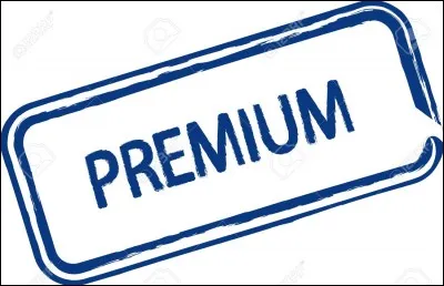 Si tu &eacute;tais une qualit&eacute;, tu serais...