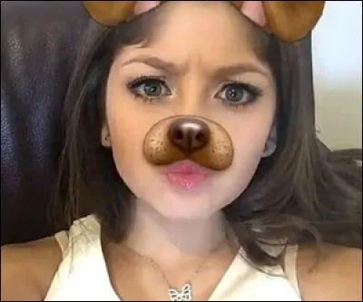 Quelles sont ses professions ?