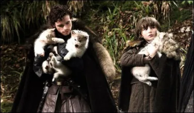 Quel loup n'existe pas dans la famille Stark ?