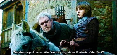 Qui offrit une selle spéciale à Bran Stark ?