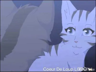 Comment le chat, qui est à droite, s'appelle-t-il ?