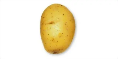Que dit-on de la pomme de terre ?