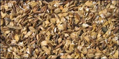 Lequel de ces animaux mange principalement de l'avoine ?