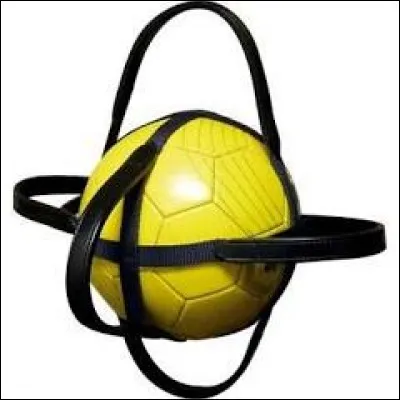 Dans quel sport utilise-t-on ce ballon ?