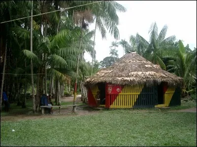 Aux cartes, couper avec un atout sup&eacute;rieur &agrave; celui de l'adversaire !