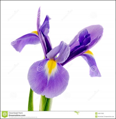 Dans la phrase "Cette prairie à des fleurs fauve et des fleurs écarlate", ces deux adjectifs s'accordent-ils ?