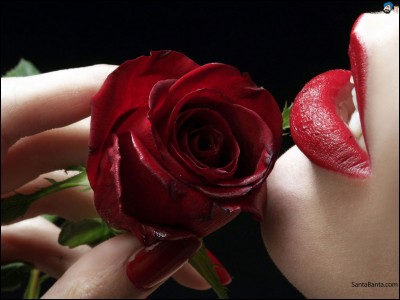 L'adjectif "rose" qui peut désigner une fleur s'accorde-t-il ?