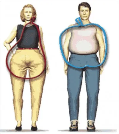 C'est un nom de genre masculin,, il désigne la couche sous-cutanée où s'accumulent les graisses. Mais comment l'orthographiez-vous ?