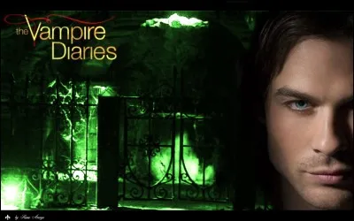 Damon Salvatore rentre dans la crypte pour aller chercher Katherine Pierce, mais que découvre-t-il à l'intérieur ?