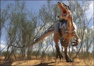 Quel est ce dinosaure ?