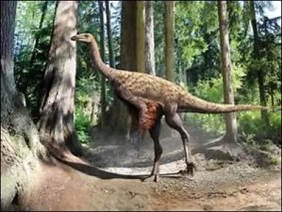 Quel est ce dinosaure ?