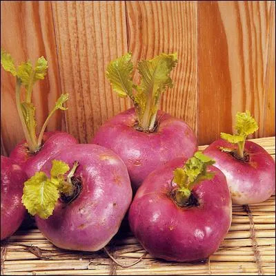 Quel est ce légume ?