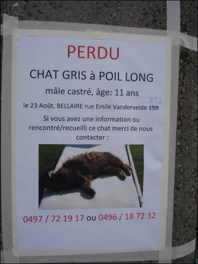 Revenons à la question 13. Tu l'as bien récupéré mais il appartient à quelqu'un. Que fais-tu ?