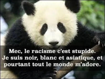 Et enfin, dernière question. Choisis une citation.