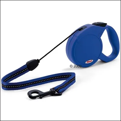 Tu sors promener le chien...