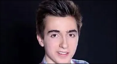 Quel insecte a piqué Mathis ?